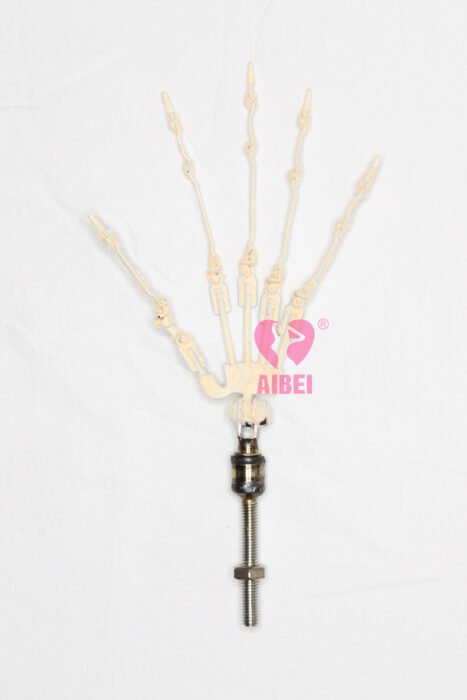 03 Hand with articulated fingers